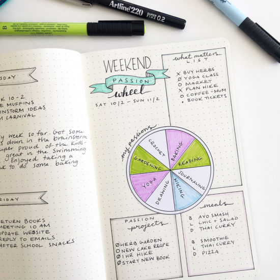 Bullet Journal Weekend Log With Passion Wheel - Do What You Love