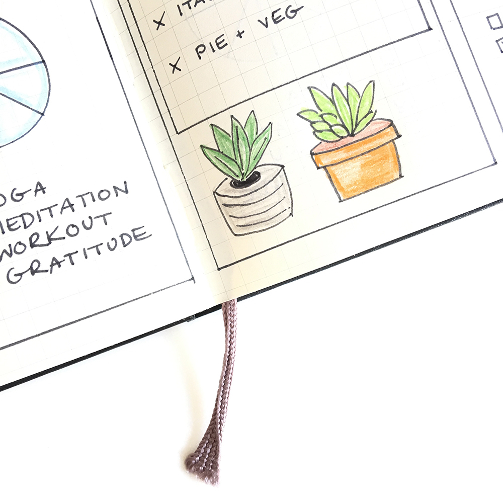 Two succulent plants in pots hand drawn on bullet journal page