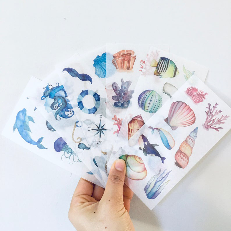 Hand holding sheets of seashell themed stickers