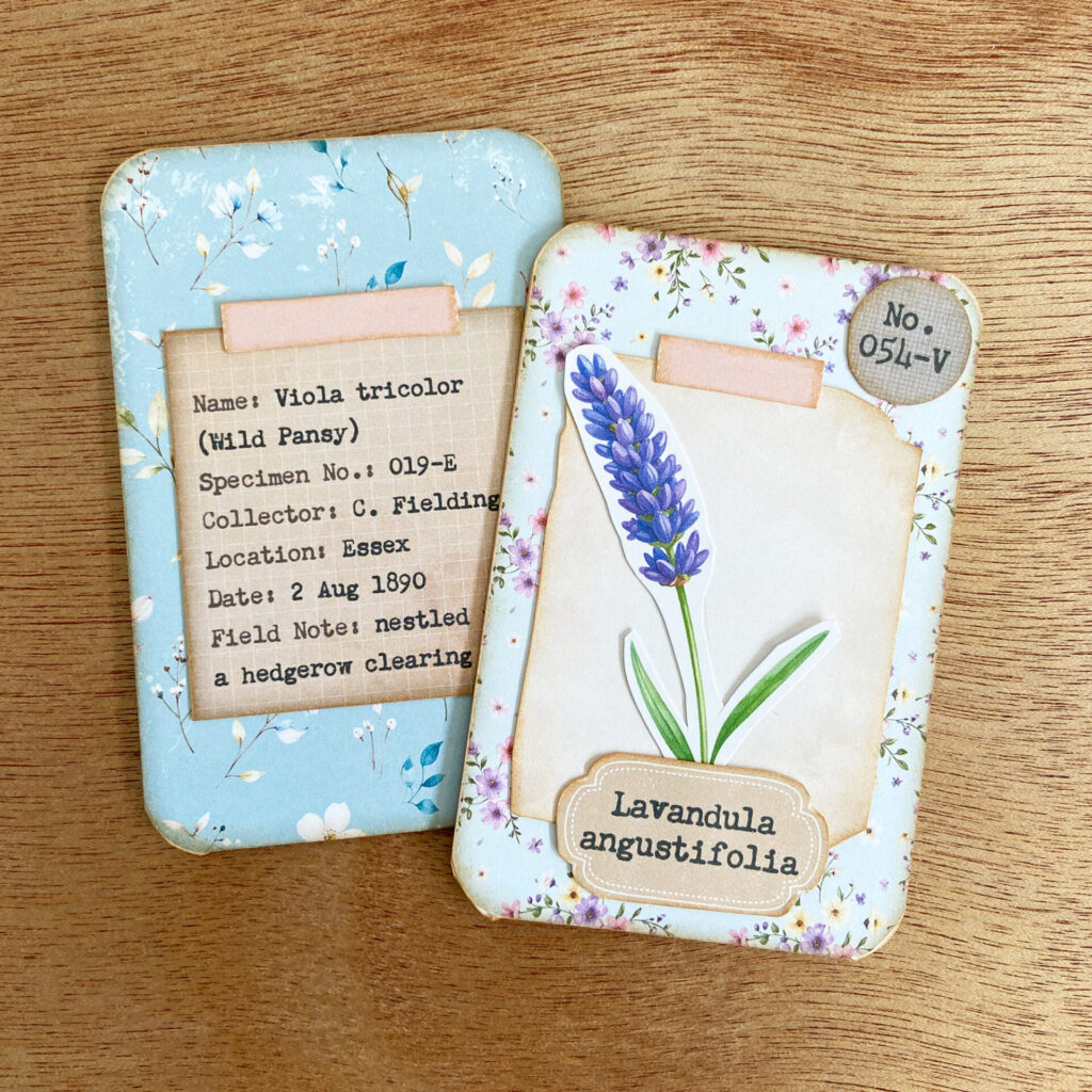 Assembled junk journal flower specimen cards