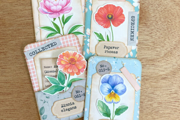 4 flower specimen cards assembled by hand using pieces from the printable kit