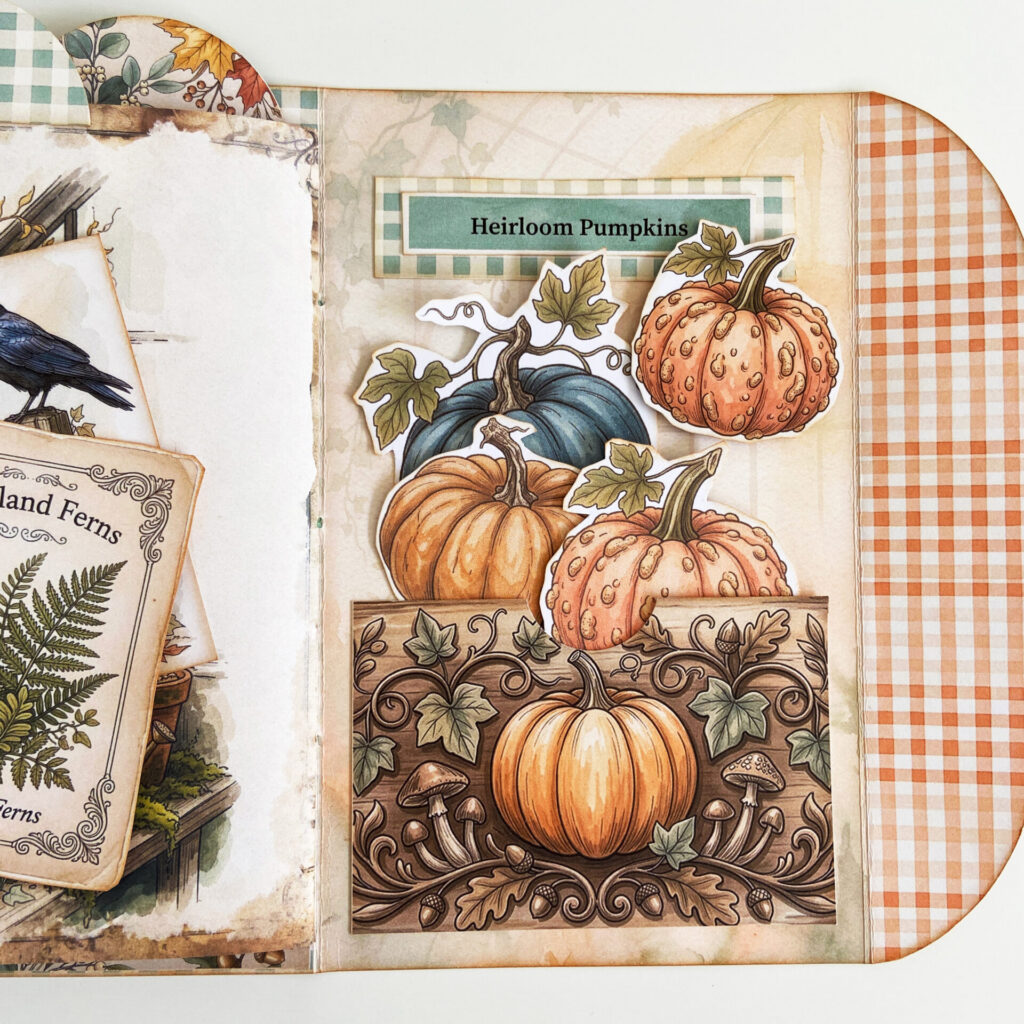 Heirloom pumpkins inside a pocket.